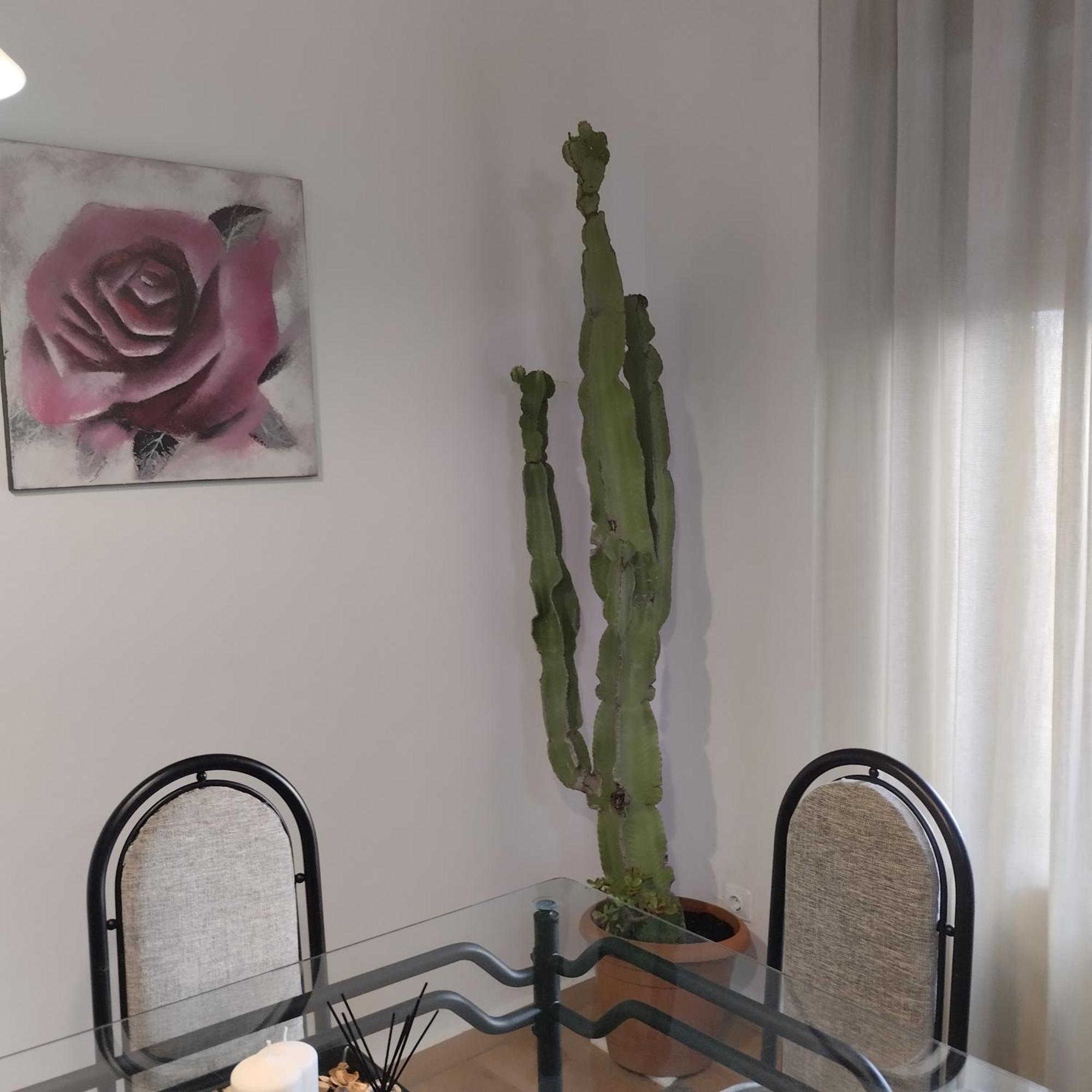 חרז Apartamento Esperanza De La Yedra מראה חיצוני תמונה